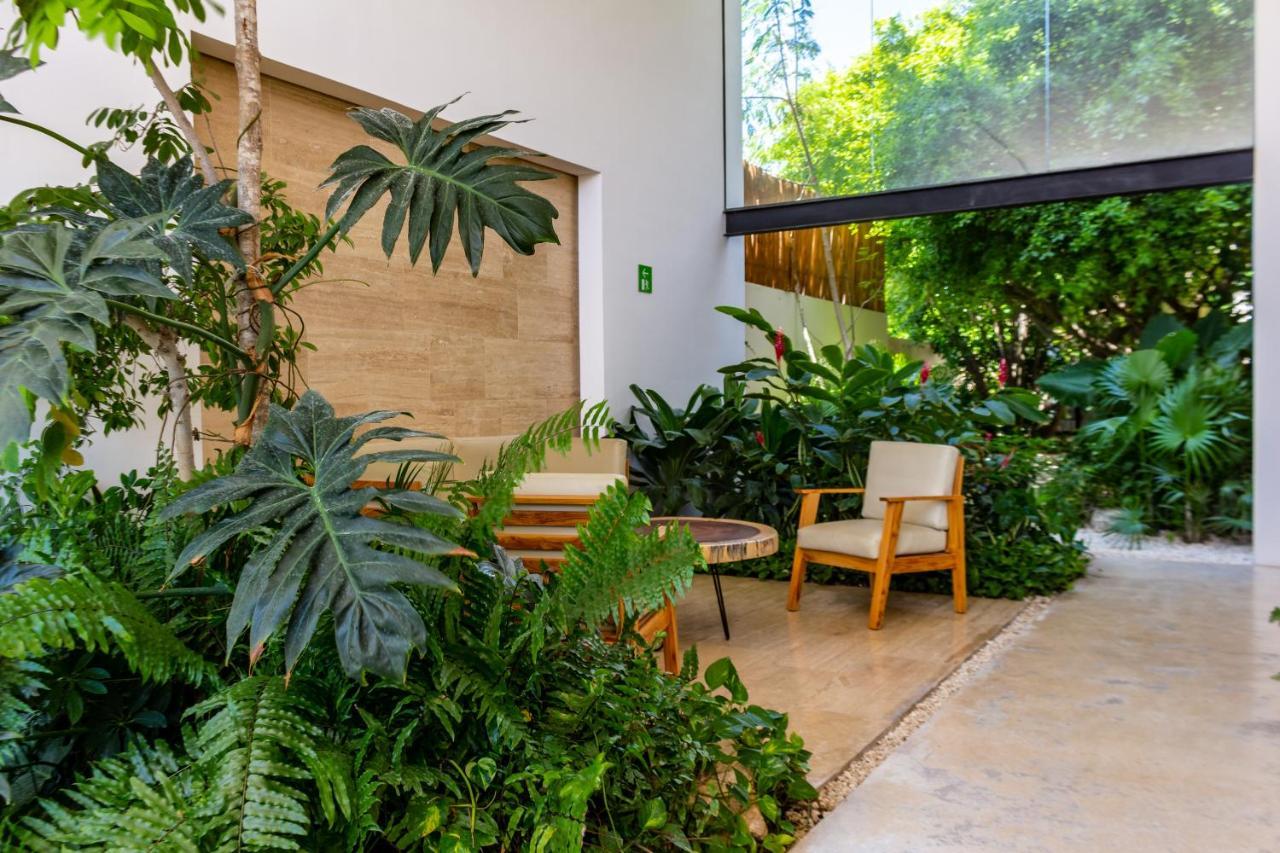 Big Studio At Kaab By The Beach With Roof Top Pool, Sauna And Jacuzzi Near Paseo Del Carmen Mall Плая дел Кармен Екстериор снимка