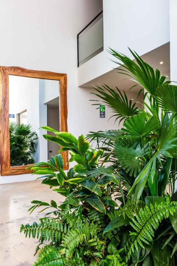 Big Studio At Kaab By The Beach With Roof Top Pool, Sauna And Jacuzzi Near Paseo Del Carmen Mall Плая дел Кармен Екстериор снимка